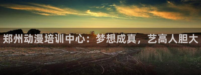 天堂动漫网站入口在哪里：郑州动漫培训中心：梦想成真，艺高人胆大