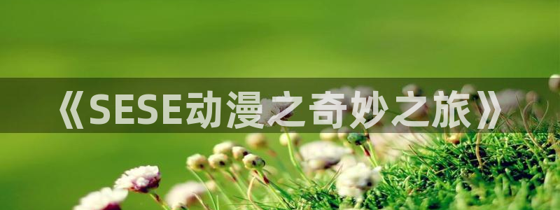 学园天堂动漫：《SESE动漫之奇妙之旅》